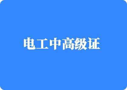 美国日本黄视频大鸡巴电工中高级证